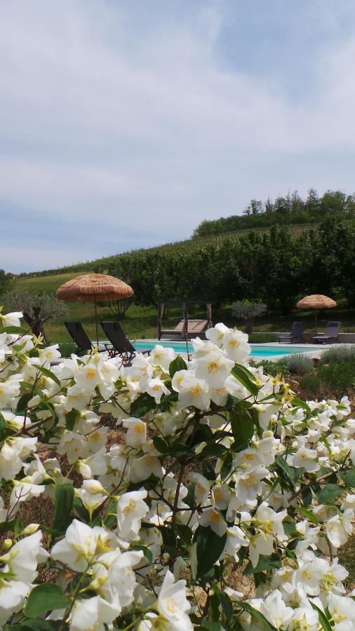 Sotto La Vigna Charm Stay Adults Only Vacation Suite Montegrosso dʼAsti Εξωτερικό φωτογραφία